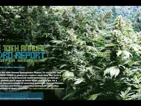 HIGH TIMES Magazine - February 2009