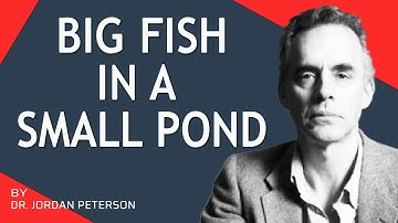 "You Are Not Smart Enough For That Job" | Jordan Peterson