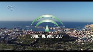 Video Alcazaba 4k