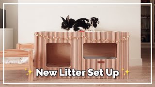 DIY Bunny Litter Set Up (Plans Available!) by Bun's Best Life 5,473 views 1 year ago 5 minutes, 17 seconds