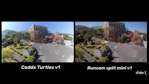 Caddx Turtles vs Runcam Split Mini