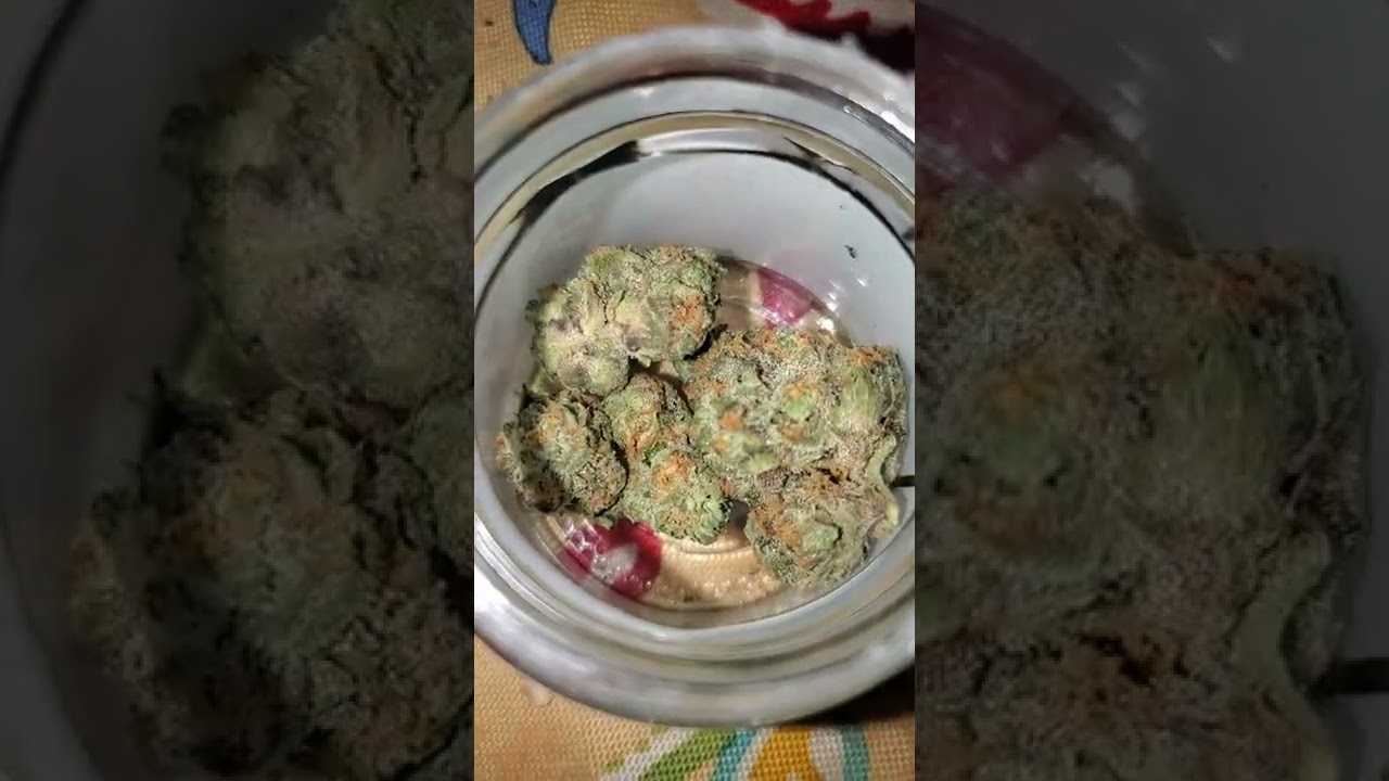 Smoking on some Melted Strawberries by Ember Valley (Exotic Tier Quality 38% THC buds)