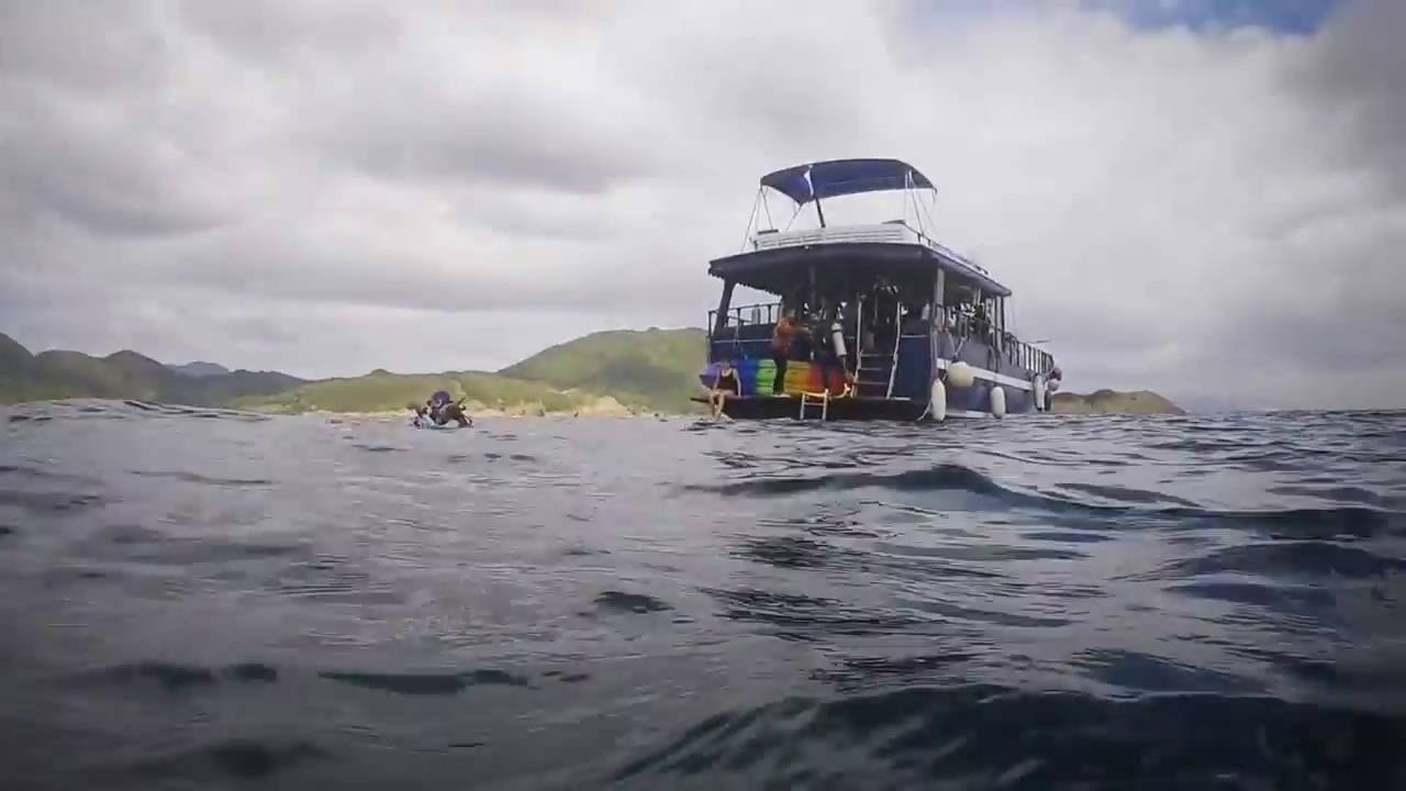 2102016 Hong Kong Diving YouTube