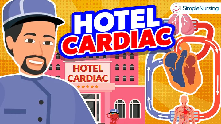 Cardiac Blood Flow Song | Nurse Mike's Memory Music for Nursing Students