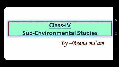 CBSE Class 4 Environmental studies online classes|Chapter 13 Birds| Part 1| Video in Hindi and Eng