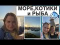 МОРЕ, КОТИКИ и РЫБА🐟/ЕДЕМ ГУЛЯТЬ В HOWTH🌊/ВЕСЬ ДУБЛИН ЗДЕСЬ/ПУСТЫЕ МАГАЗИНЫ/ВОВА ЖАРИТ РЫБУ👨‍🍳