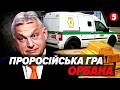 🔥Золото та долари в БРОНЬОВАНИХ авто КОНФІСКОВАНО. 💵Таємниці затриманих ІНКАСАТОРІВ ощадбан