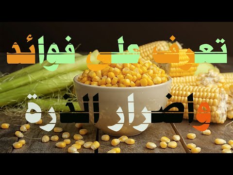 فيديو: هل حبات الذرة حية؟