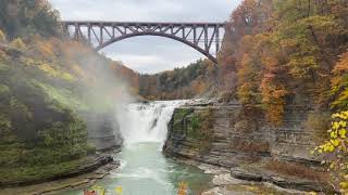 Letchworth State Park Peak Fall Foliage by Buffalo Weather 246 views 7 months ago 8 minutes, 26 seconds