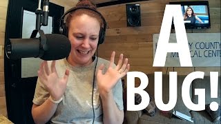 Ashleigh Burton Hates Bugs • Awkward Ashleigh on the Kelly & Ken Show