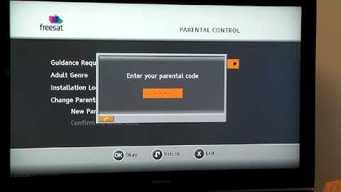 DSI86 - Reset your Parental Code.avi