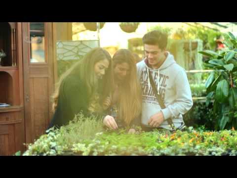 გაიცანით ანანო თევდორაშვილი