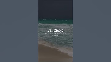 وَاذْكُر رَّبَّكَ إِذَا نَسِيتَ ، أذكرني بدعوه . #قران #quran #سورة_آل_عمران
