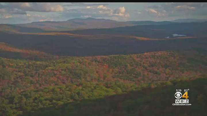 How will drought conditions affect fall foliage?