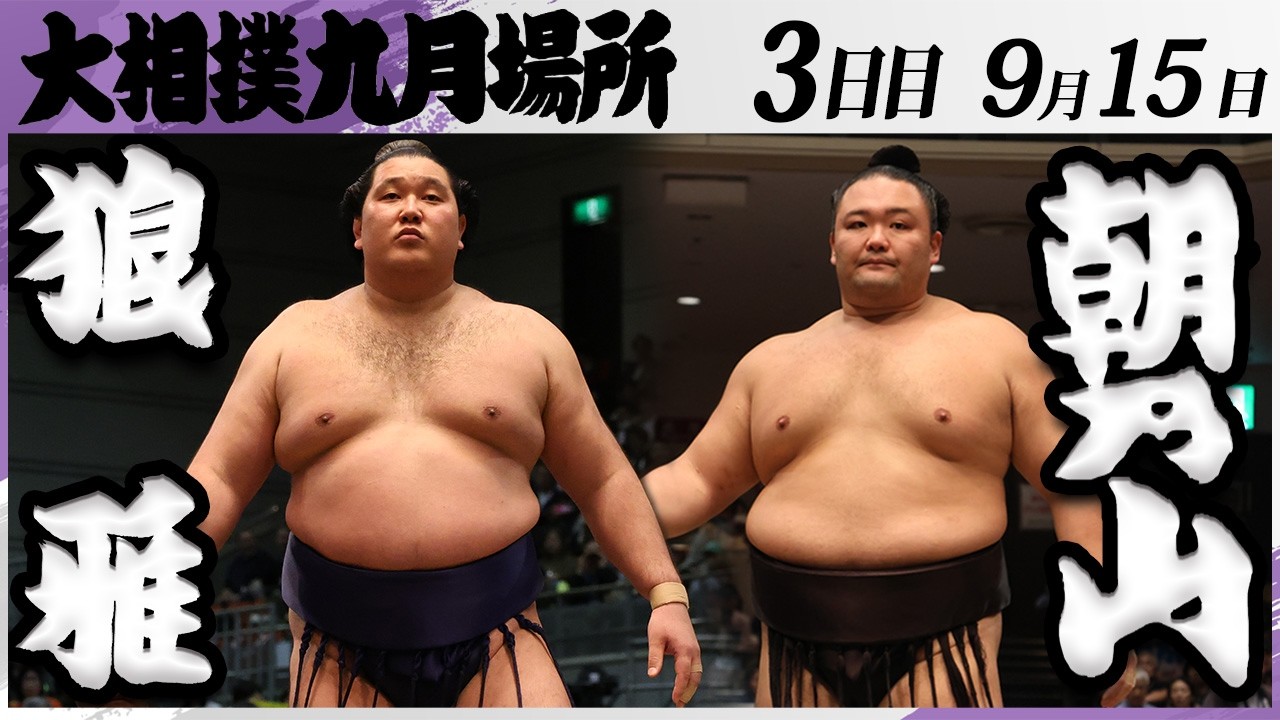 ジャスミンです。佐田の海 朝乃山 YouTube