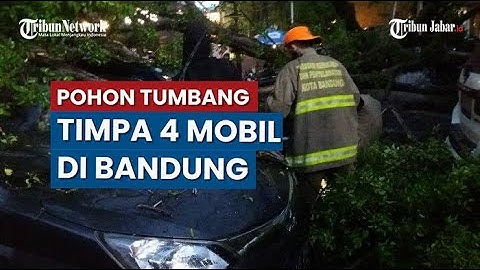 Tak Ada Angin Atau Hujan, Pohon Setinggi 10 Meter di Jalan Riau Bandung Tumbang Timpa 4 Mobil