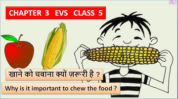 Class 5 EVS Chapter 3 | चबाकर खाना क्यों ज़रूरी है ? | Importance of chewing | Food | Rose Tree |