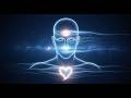CALM PRESENCE STREAM | 432Hz + 528Hz Soft Alignment & Clear State