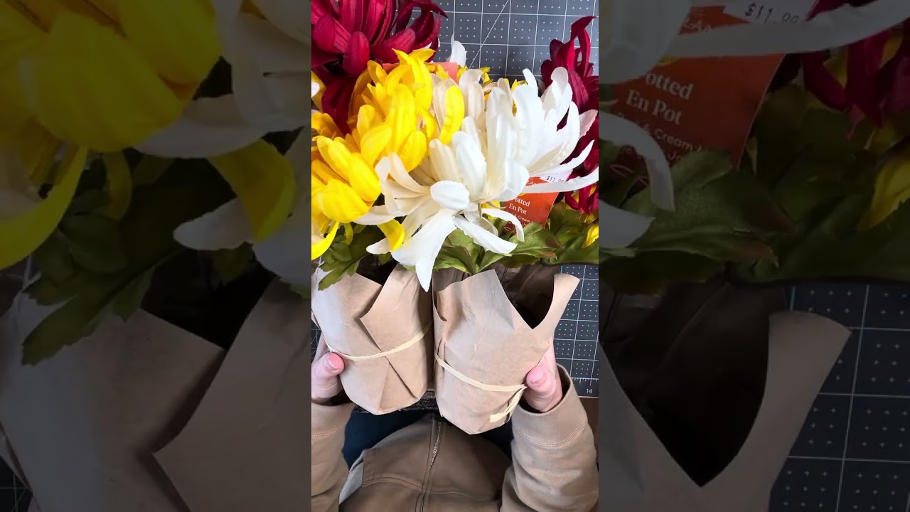 Перевозка багажа Майкла стоимостью 130 долларов за 5 долларов