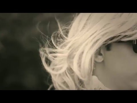 QUAL É A SENHA DO WIFI - Paródia Adele - Hello
