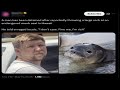 Entitled Tourist Gets Beaten By Local