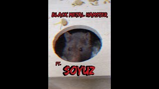Black Metal Hamster: Peeking Out