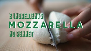 Mozzarella recipe without rennet | Homemade cheese | mozzarella with vinegar only | easy mozzarella