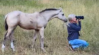 When You Live With a Comedian Horse 😂🐴Funny Horse and Human Videos