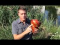 Tranquility Wooden Cremation Urn Tranquility Wooden Cremation Urn
