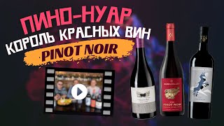 Пино Нуар — Король красных вин | Pinot Noir