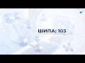 Шипа: 103 | Күрделі оталар
