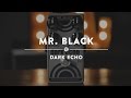 Mr. Black Dark Echo | Reverb Demo Video - YouTube