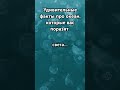 Удивительные факты про океан, которые вас поразят!