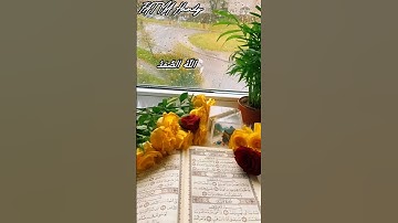 سورة الإخلاص مكتوبة 🎧📖 || حالات واتس آب دينية 💌|| "قل هو الله أحد"|| ستوريات دينيه 💚🤍