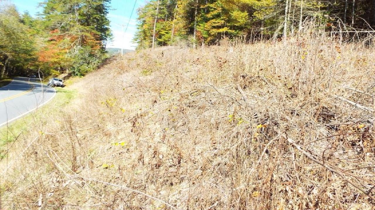 TBD Fires Creek Road, HAYESVILLE, NC Presented by Levi Killian. YouTube