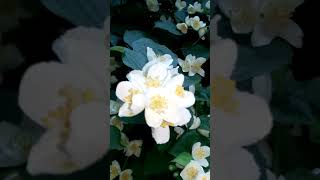 VID 20200624 193800