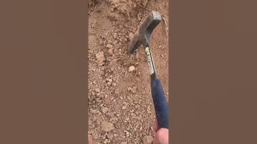 Out fossil hunting find crinoids stems. Really cool. #newmexico #fossils #crinoids #wow #omg