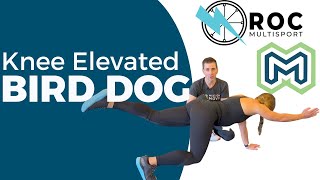The Knee Elevated Bird Dog