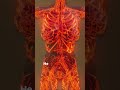 Your Blood Vessels Could Wrap Around Earth TWICE! 🌍💉