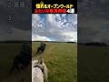 憧れるオープンワールドみたいな乗馬映像