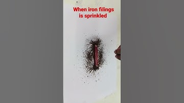 Iron filings and bar magnet || Magnetic field lines #shorts #scienceexperiment  #experiment #class10