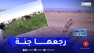جزائريون: مزارع الزيبان..  من أراض بور إلى مشروع فلاحي نموذجي