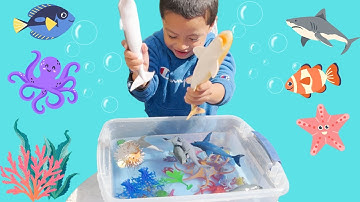 Fun Sea Animal Toys | Jeremy Sea Creatures Collection! Aquatic Animals Learning
