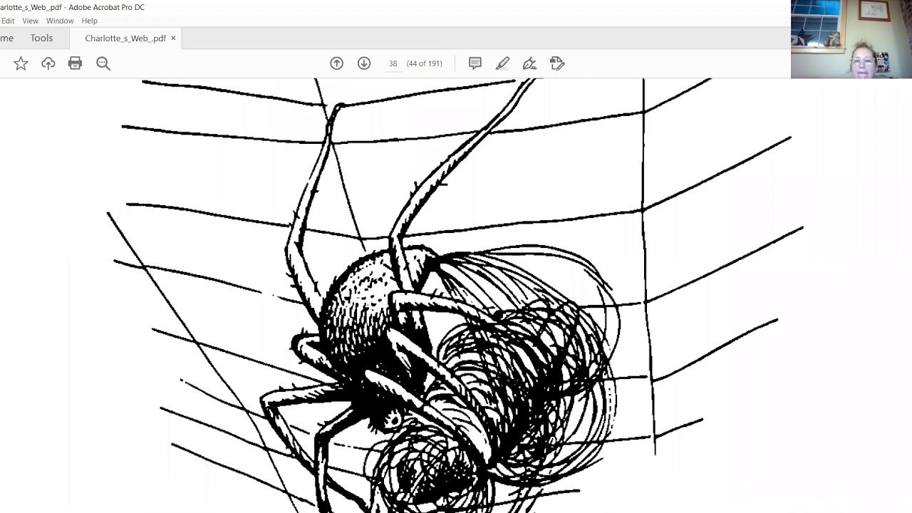 Charlotte's Web Chapter 5 - YouTube
