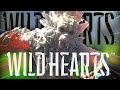 THE WILD HEARTS EXPERIENCE
