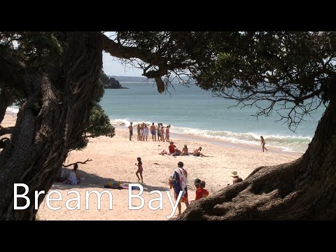 Vidéo: Un guide complet de Bream Bay à Northland, Nouvelle-Zélande