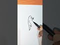 One line drawing of penguin by one stroke line art for kids