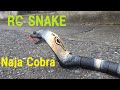 RC Snake Naja cobra ヘビのラジコン クローリング