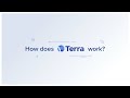 How Does Terra Work?