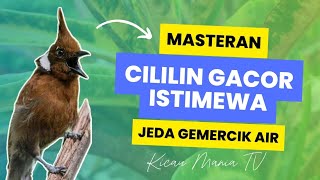 MASTERAN CILILIN TEMBAKAN RAPAT JERNIH 20 MENIT | JEDA SUARA AIR